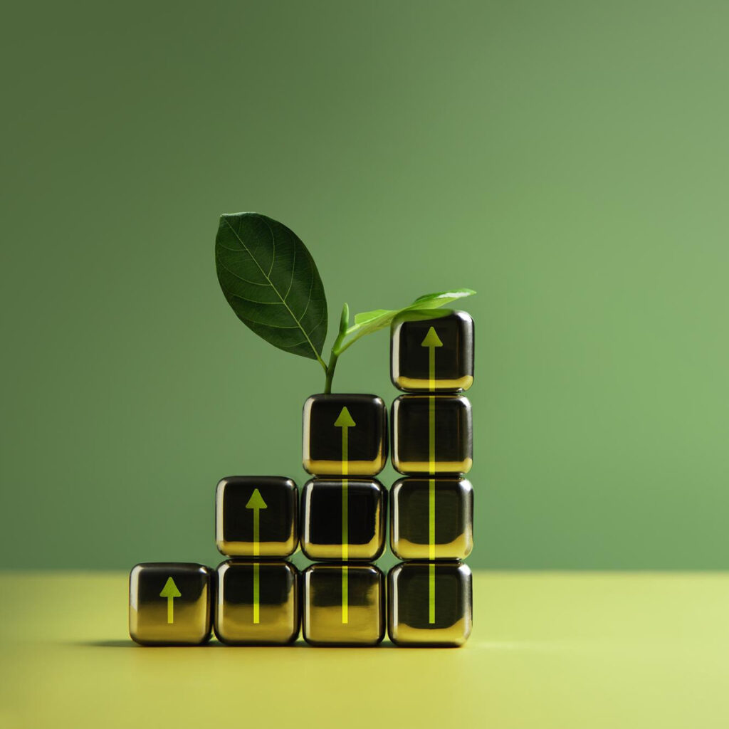 How used cooking oil recycling works at United Biofuel   in London