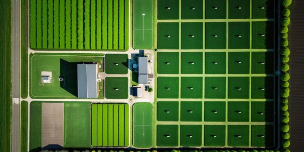 Anaerobic Digestion process at United Biofuel   in London