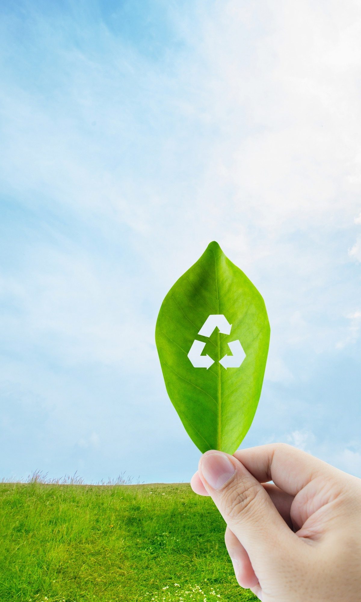 Circular economy process for used cooking oil recycling in London