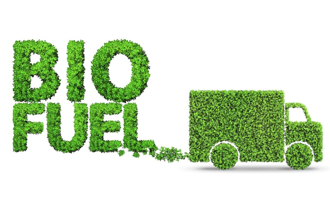 Comprehensive Used Cooking Oil Recycling Process